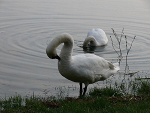 Fotoblog mateusz8821