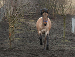 Fotoblog alfreds