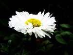 Fotoblog ferranger