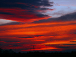 Fotoblog wioletta1