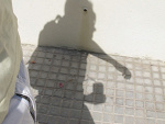 Fotoblog charusss