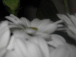 Fotoblog kiri13