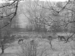 Fotoblog suchny
