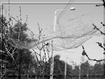 Fotoblog 1777