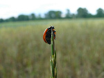 Fotoblog kasia8392