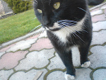 Fotoblog mojeodbicie