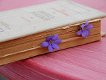 Fotoblog diaabolicangel