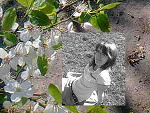 Fotoblog madziulka00