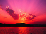 Fotoblog xlewyxxx