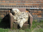 Fotoblog elizabeth200
