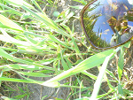 Fotoblog najaranesoba