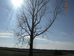 Fotoblog martynac2