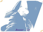 Fotoblog kaaruu