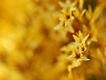 Fotoblog kaffka93