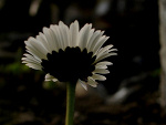 Fotoblog imima