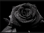 Fotoblog loyola