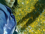 Fotoblog bulisz