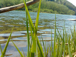 Fotoblog sliwka19