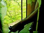 Fotoblog xskarbenkox