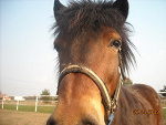 Fotoblog klaudia347