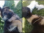 Fotoblog abril