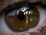 Fotoblog xagon