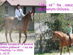 Fotoblog aguuucha188