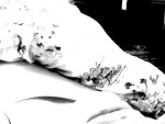 Fotoblog zyzioo