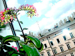 Fotoblog blessyaxd