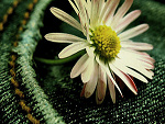 Fotoblog thelittleprincess