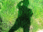 Fotoblog perplexitee