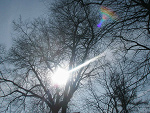 Fotoblog linka666