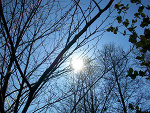 Fotoblog morphe
