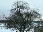 Fotoblog kinusiek