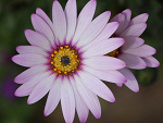 Fotoblog tosiaa74