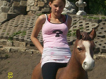 Fotoblog sloneczko550