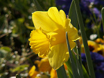 Fotoblog 0loolo