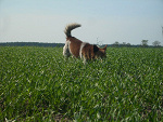 Fotoblog smb13