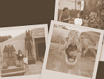 Fotoblog agatka1244
