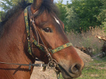 Fotoblog xxxkamila13xxx