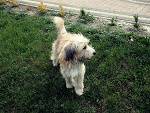 Fotoblog xniedopasowanax
