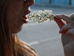 Fotoblog psychoqueen17