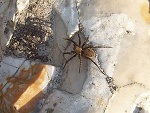 Fotoblog katarzynazwakula
