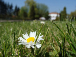 Fotoblog renkowa