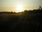 Fotoblog psychox3