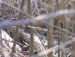 Fotoblog misterssandlover