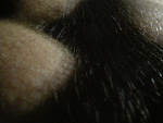 Fotoblog maquenion