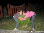 Fotoblog ajlovjusolmacz