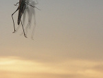 Fotoblog olcia1802