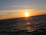 Fotoblog trambula